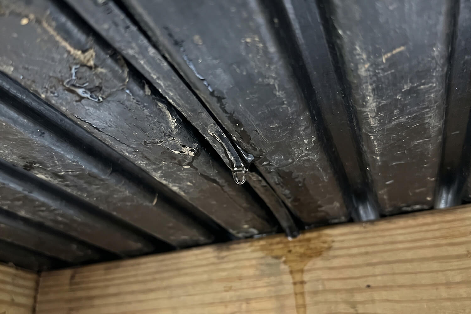 A close-up of a black metal roof with a leak, showing a droplet of water about to fall and a wet stain forming on the wooden beam below.